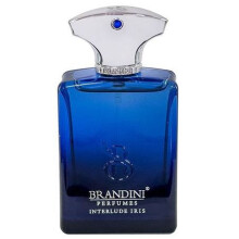 اینترلود بلک آیریس مردانه برندینی | BRANDINI – Interlude Black Iris Edp BRANDINI_695658705b5ed.jpeg اینترلود بلک آیریس مردانه برندینی | BRANDINI - Interlude Black Iris Edp BRANDINI - Image 1